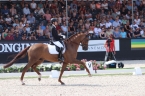 Championnats du Monde 5 ans - Ermelo 2018 - Dorian Grey de Hus - 5ème