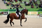Jeux Equestres Mondiaux - Caen 2014 - Riwera de Hus