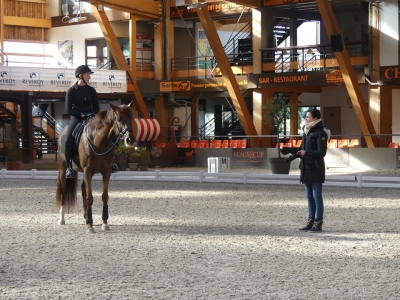 Stage au Boulerie Jump (Pôle Européen du Cheval) - 16/17 février 2019