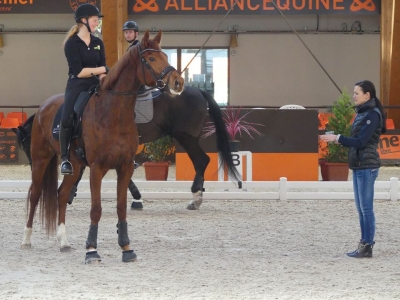 Stage au Boulerie Jump (Pôle Européen du Cheval) - 30/31 mars 2019