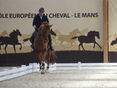 Stage au Boulerie Jump (Pôle Européen du Cheval) - 30/31 mars 2019